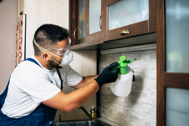 Professional Pest Control in Colorado City, TX