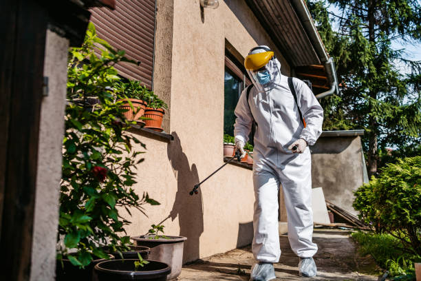 Best Insect Control  in Colorado City, TX