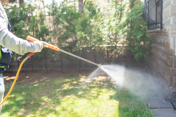 Best Affordable Pest Control Services  in Colorado City, TX