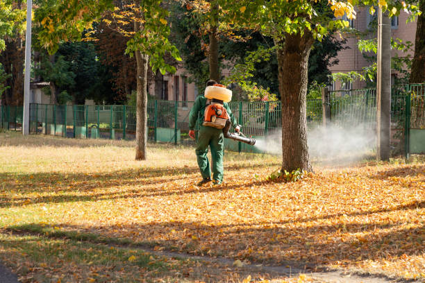 Best Affordable Pest Control Services  in Colorado City, TX